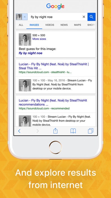 How to Easy Google Search by Image on iOS gallery image
