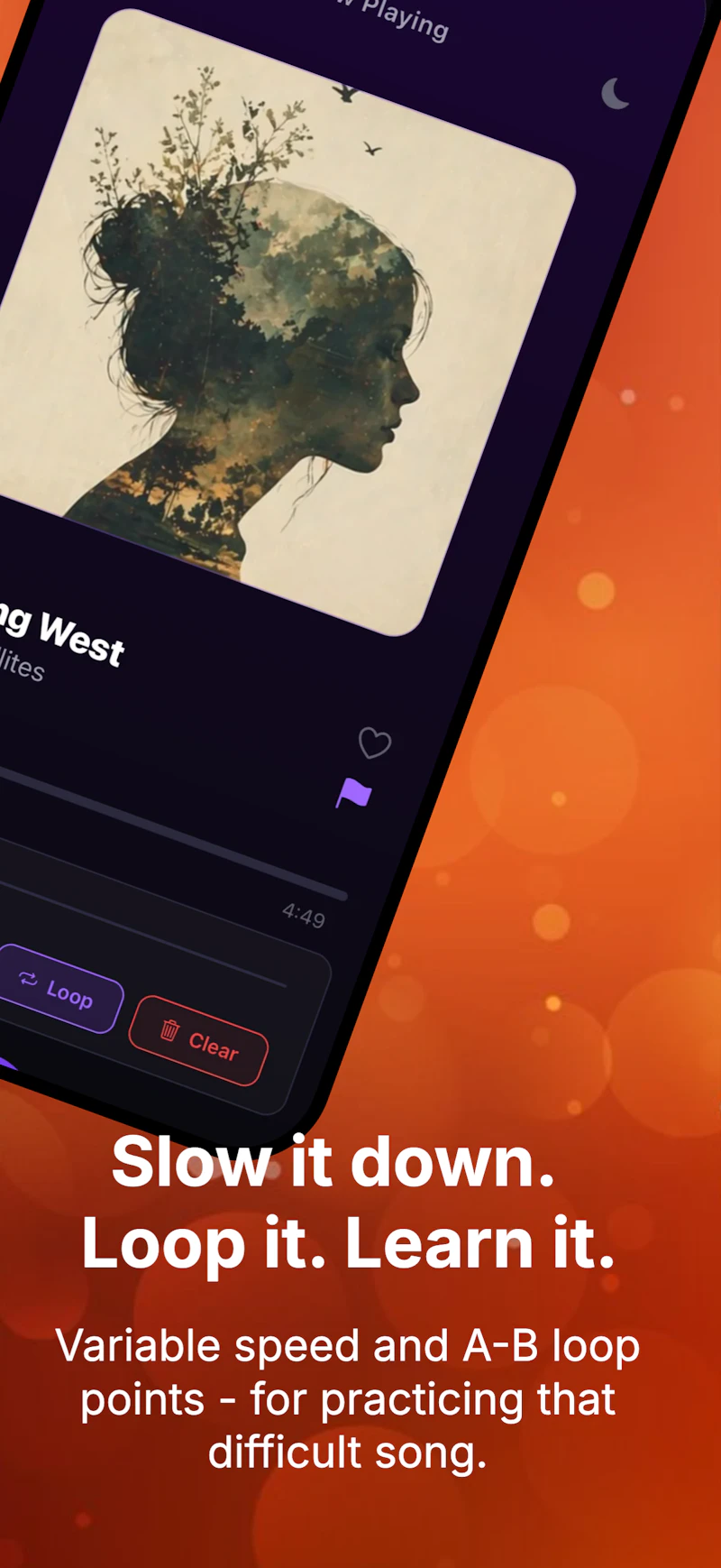 SoloTracks — Offline music, done right screenshot 3
