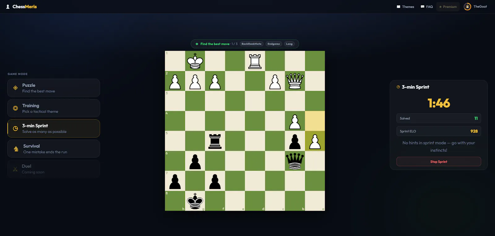ChessMeris screenshot 3