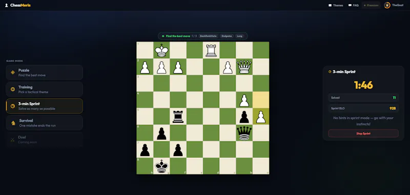 ChessMeris screenshot 3