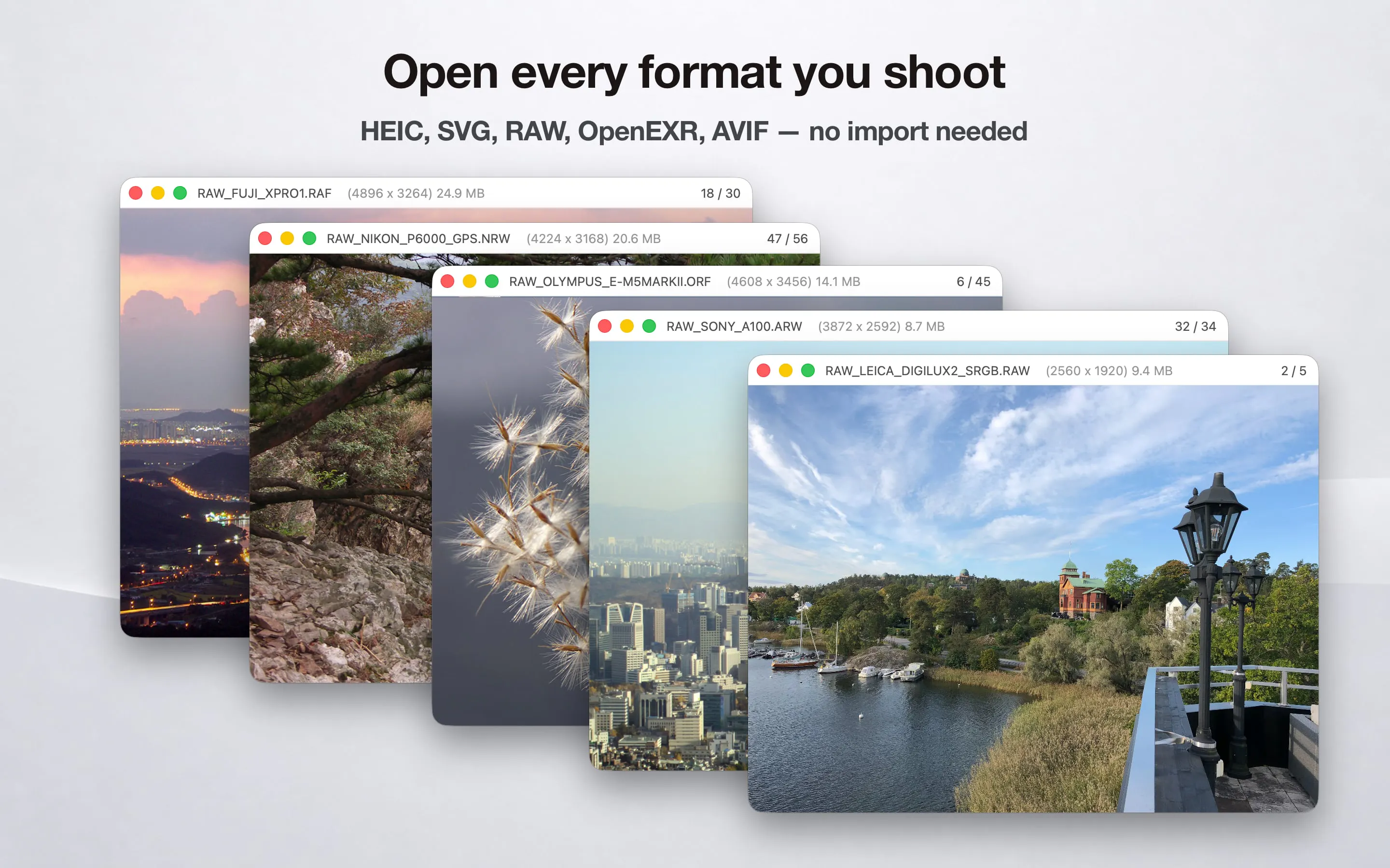 Just Look! gallery image