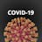 Covid19 - Evolution detail Spain