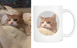 Custom Cat Coffee Cups media 3