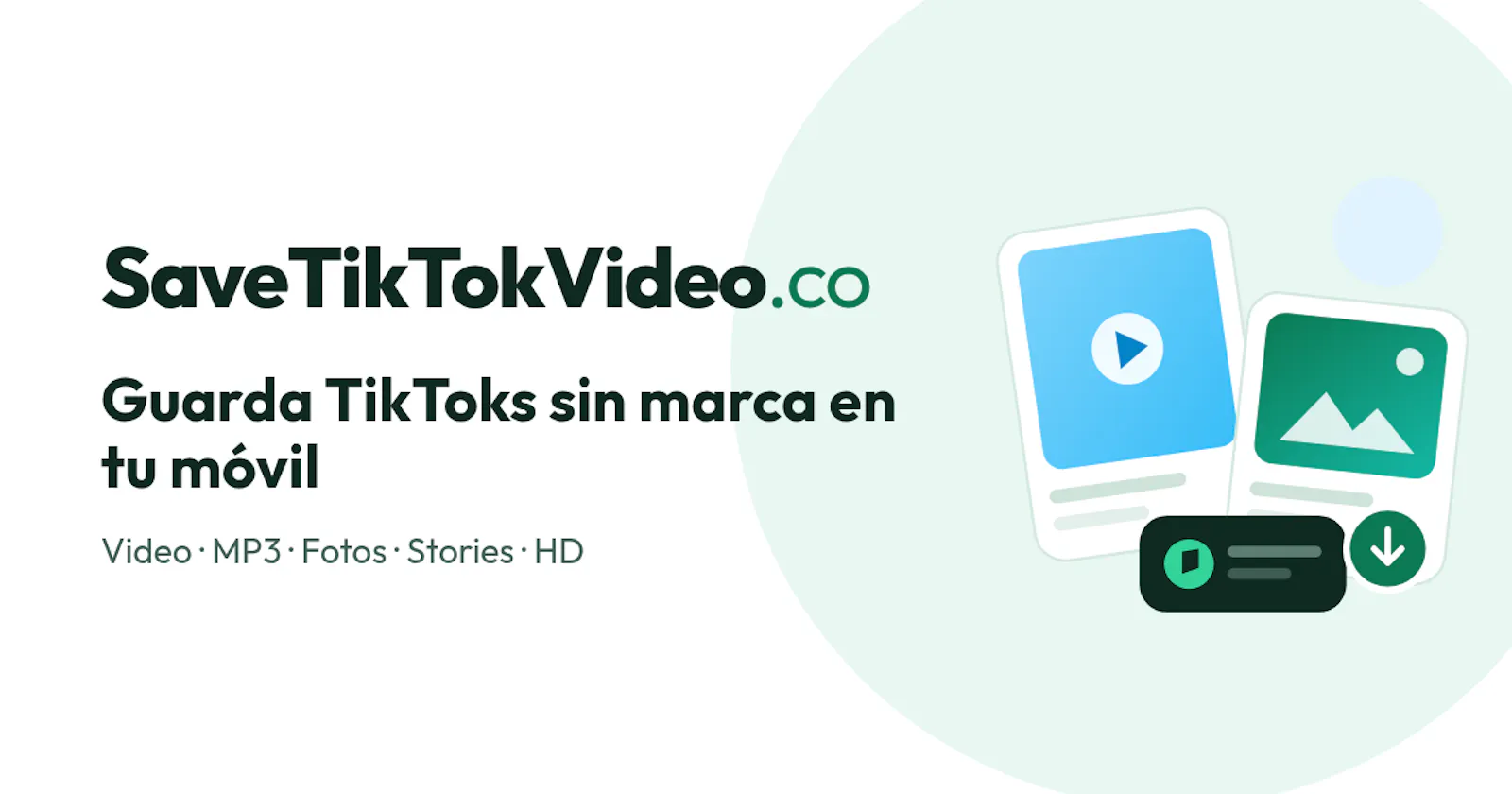SaveTikTokVideo.co screenshot 1