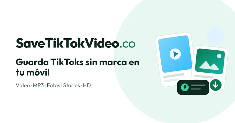 SaveTikTokVideo.co screenshot 1