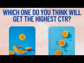 PicPulse gallery image