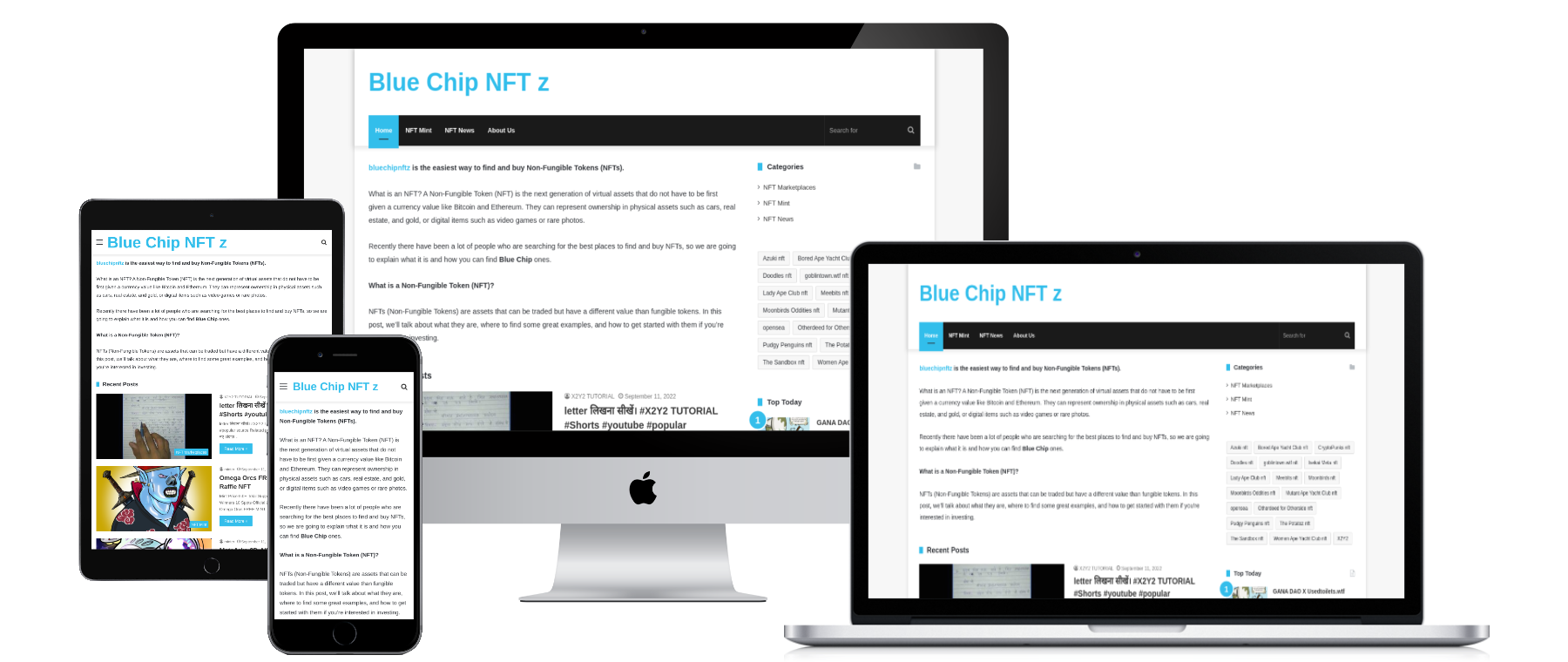 Chip azul nftz media 1