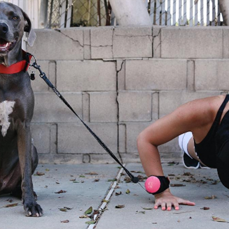 ReLeash gallery image