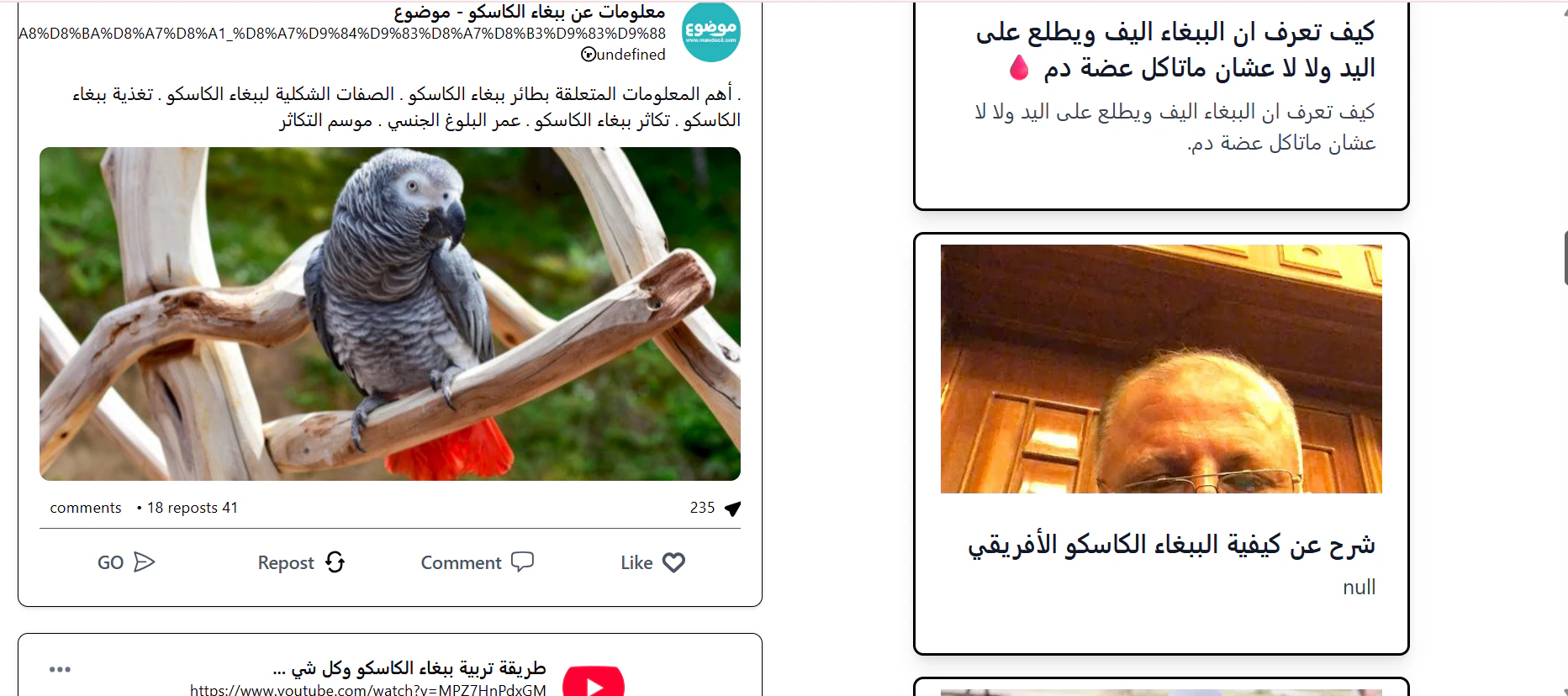 Arabinum screenshot 4