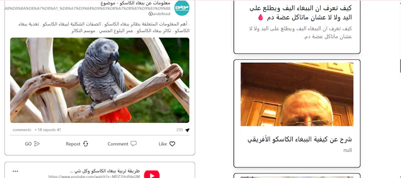 Arabinum screenshot 4