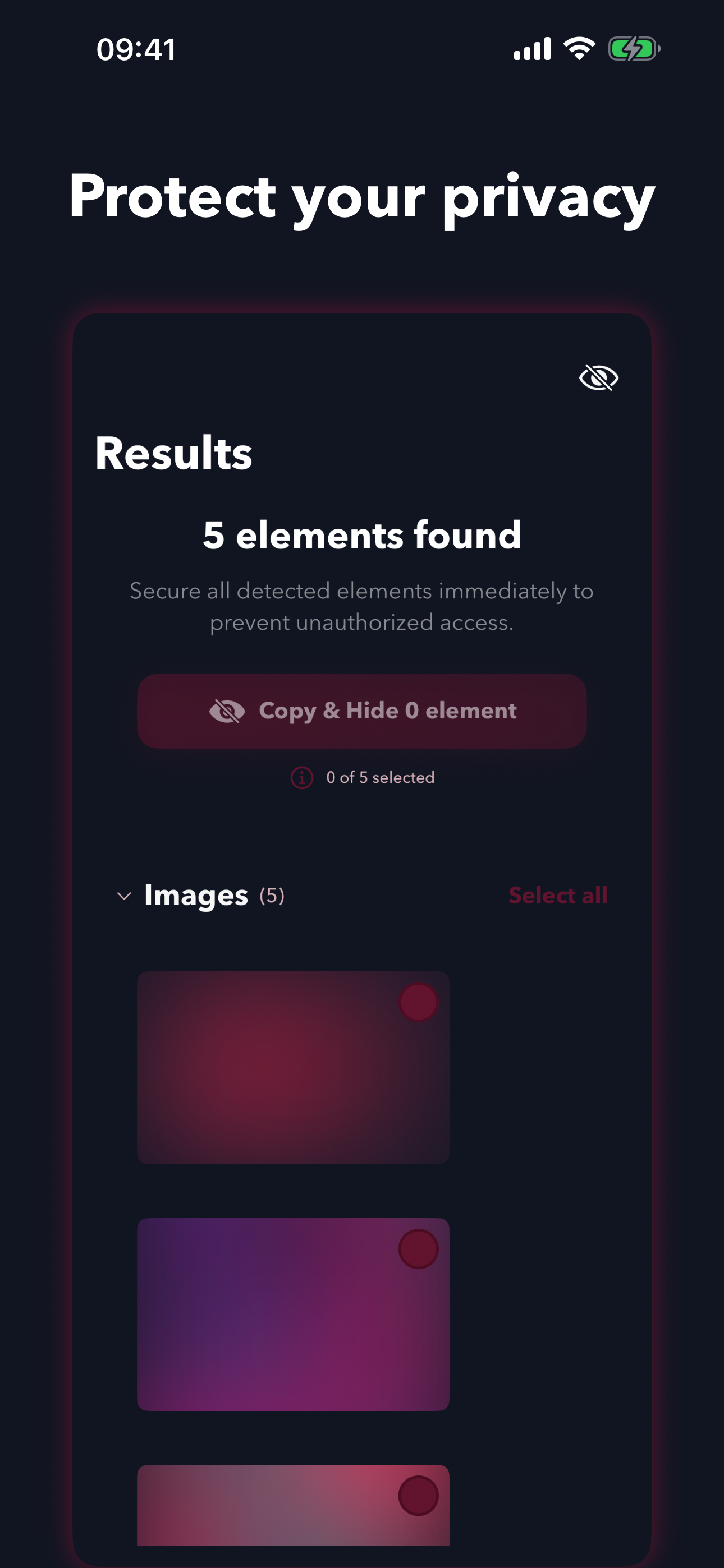 PrivaSee - Screenshot 3 showing product features and functionality