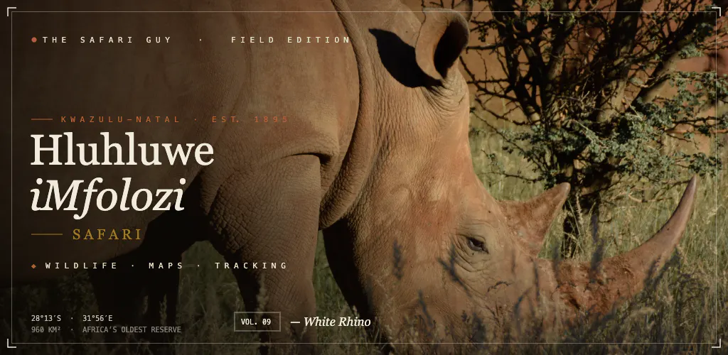 The Safari Guy gallery image