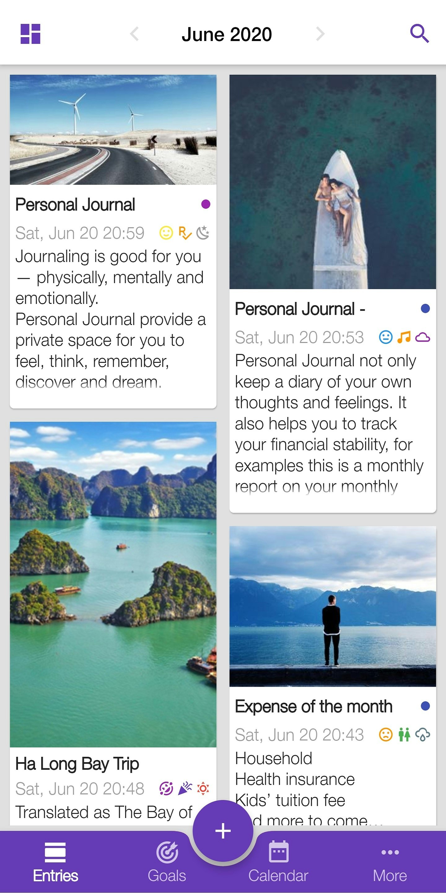 Perfect Journal - Diary Towards Goals gallery image