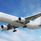 Flystein