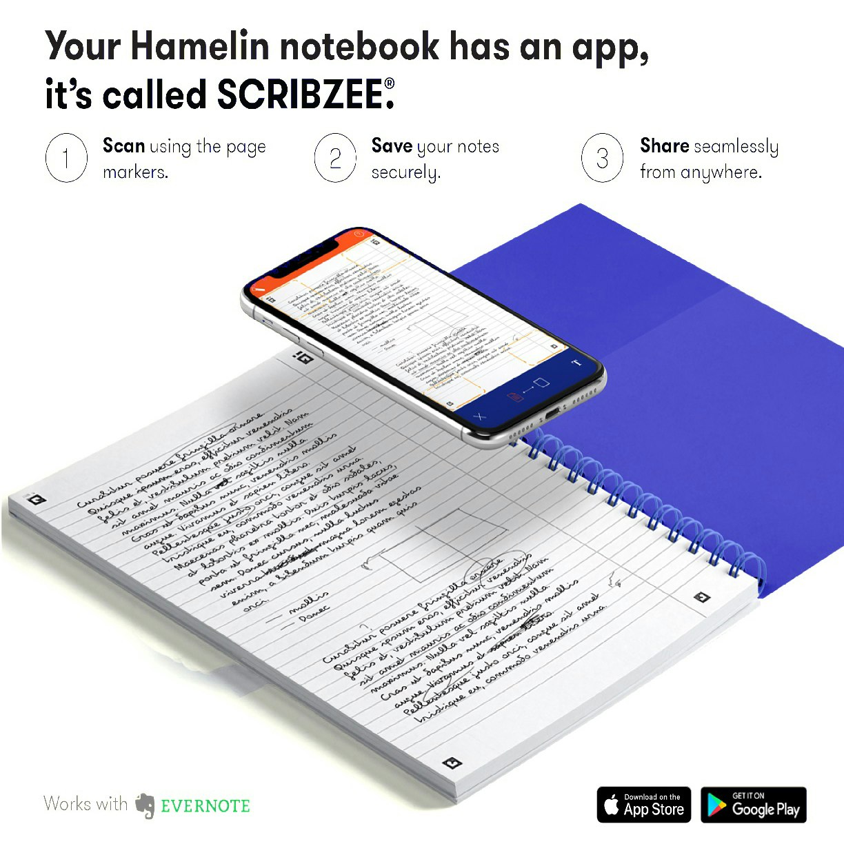 Hamelin Notebooks
