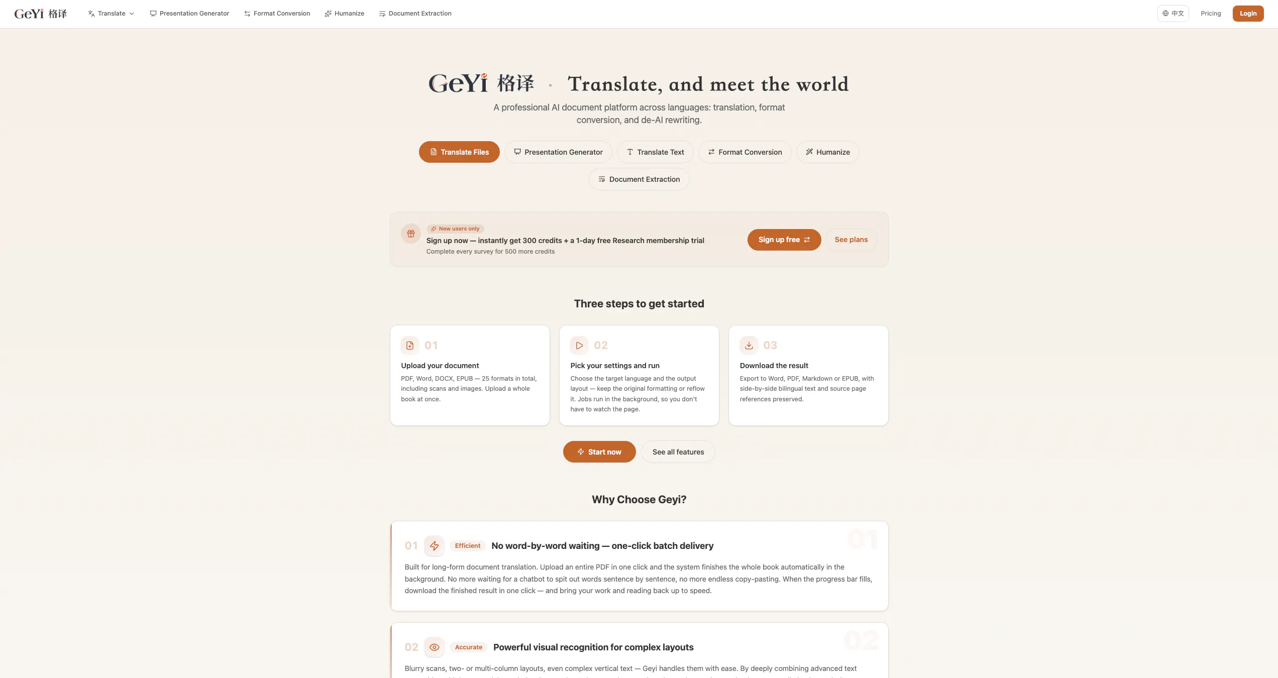 Geyi gallery image