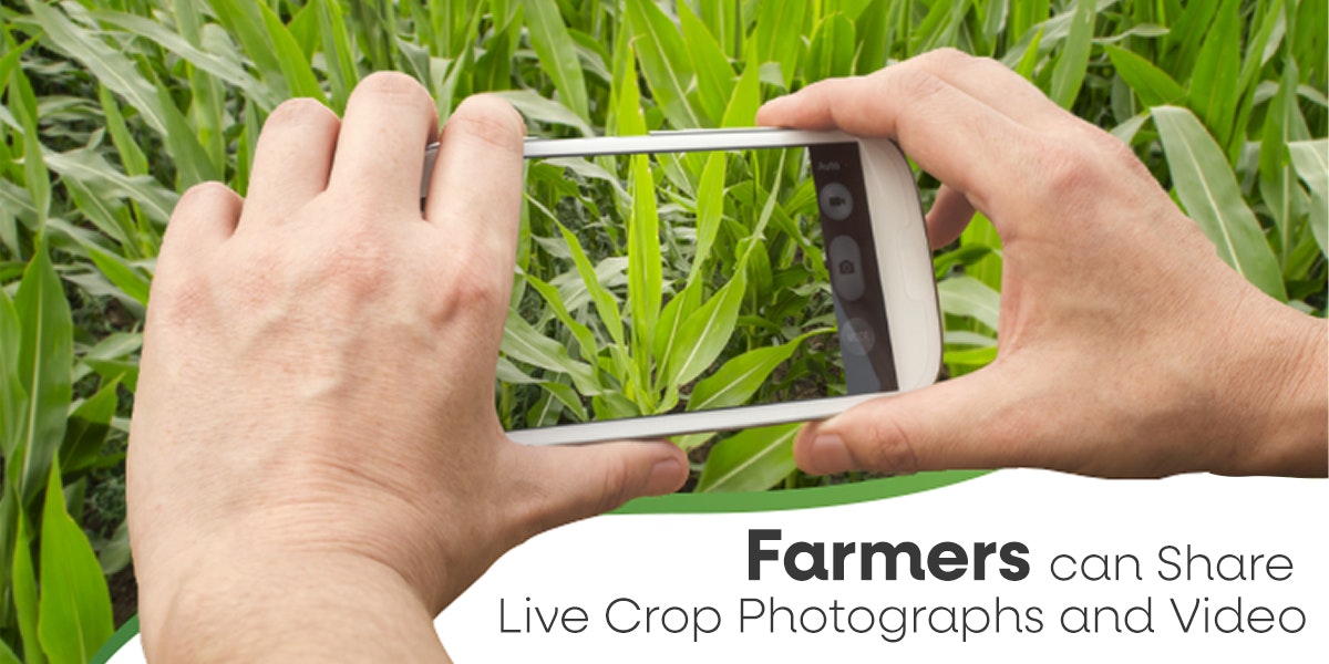 Online Agri Market in India gallery image