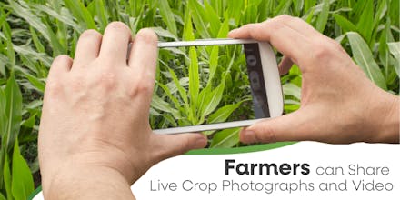 Online Agri Market in India gallery image