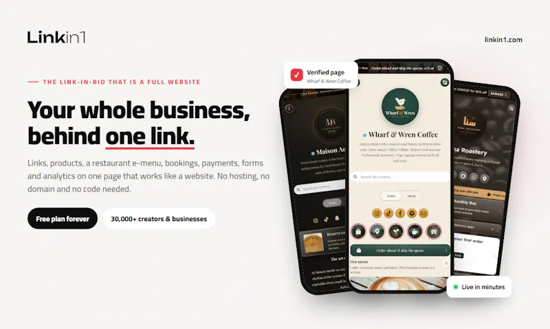 Linkin1 screenshot 1