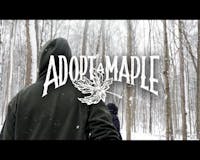 Adopt-a-Maple media 1