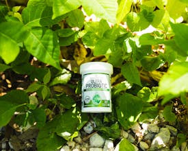 Brand Marketing Services gallery image