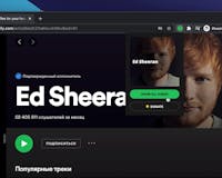 Spotify artist's all songs media 2