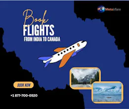 Toronto to Ahmedabad flight gallery image