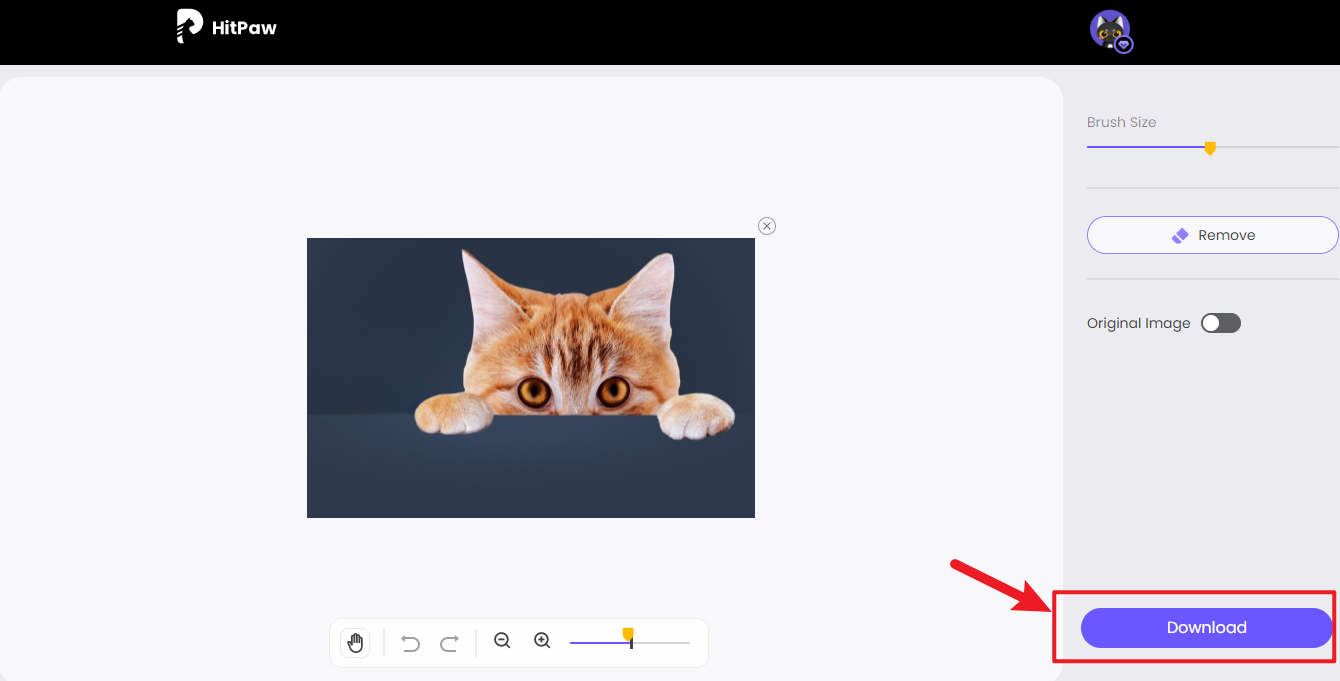 HitPaw Online Object Remover media 4