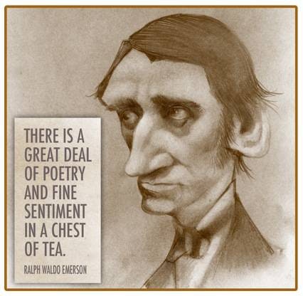 My First Book on Tea with Illustrations by John Cox gallery image