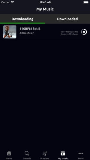 Music Downloader & Player gallery image