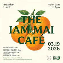 MAI-Image-2 gallery image