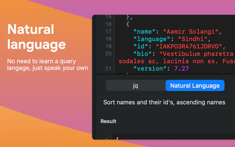 JSON Query screenshot 2