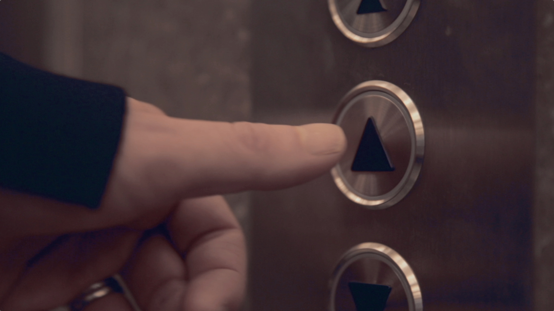 Panoramia gallery image