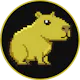 Capitoday