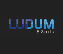 Ludum gallery image