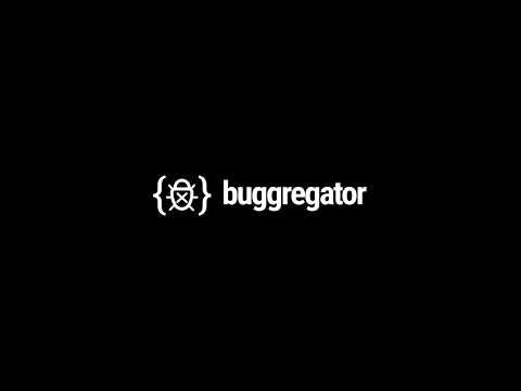 Buggregator gallery image