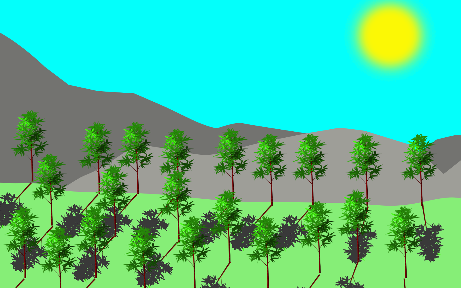 Painter gallery image