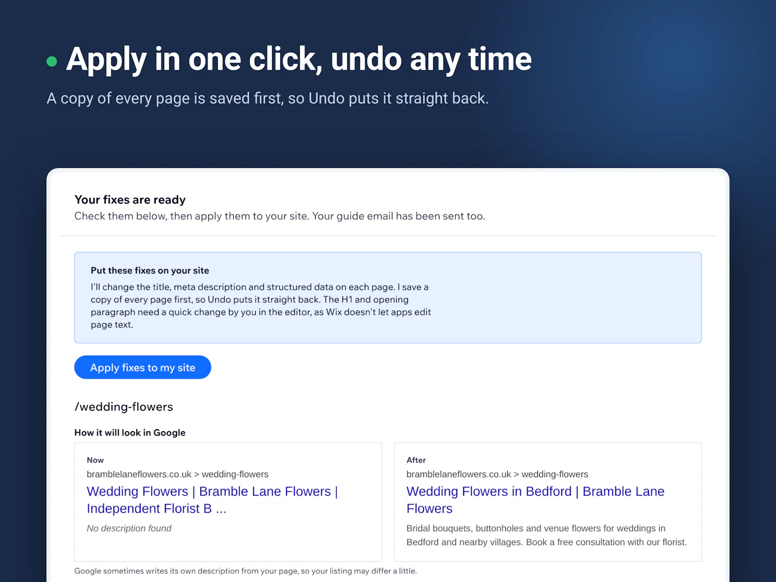 SEO Fix in a Box screenshot 5