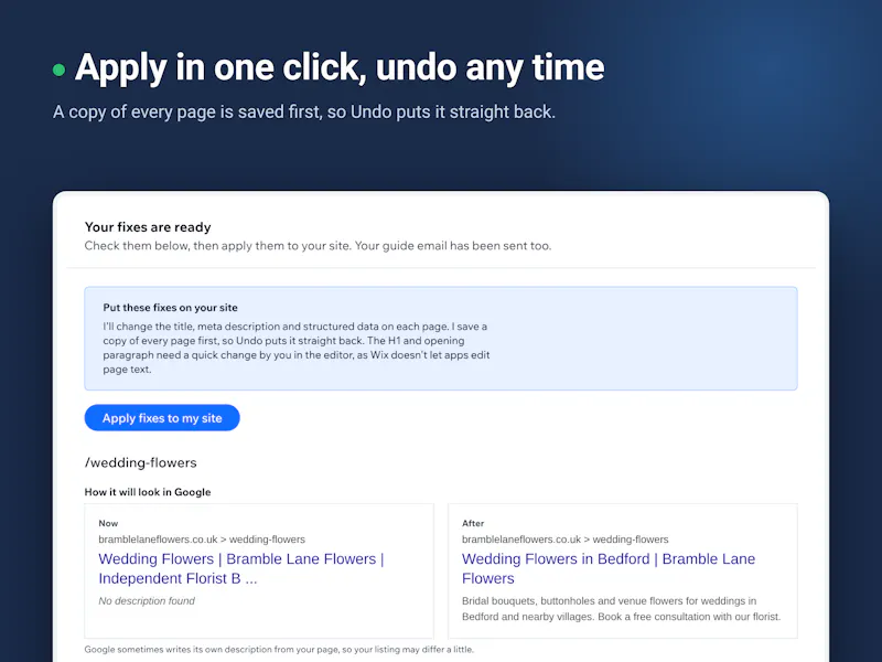 SEO Fix in a Box screenshot 5