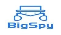 BigSpy Review - March 2021 gallery image