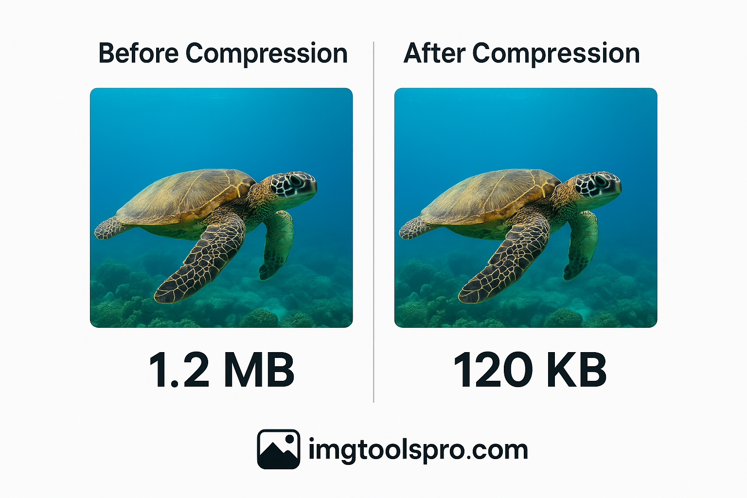 Imagetools Pro - ตัวแปลงรูปภาพออนไลน์ฟรี Resizer & Editor media 1