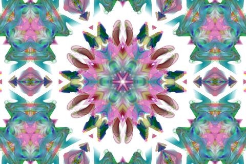 Bomomo gallery image