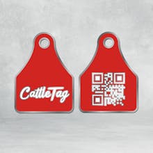 Cattle Tag gallery image