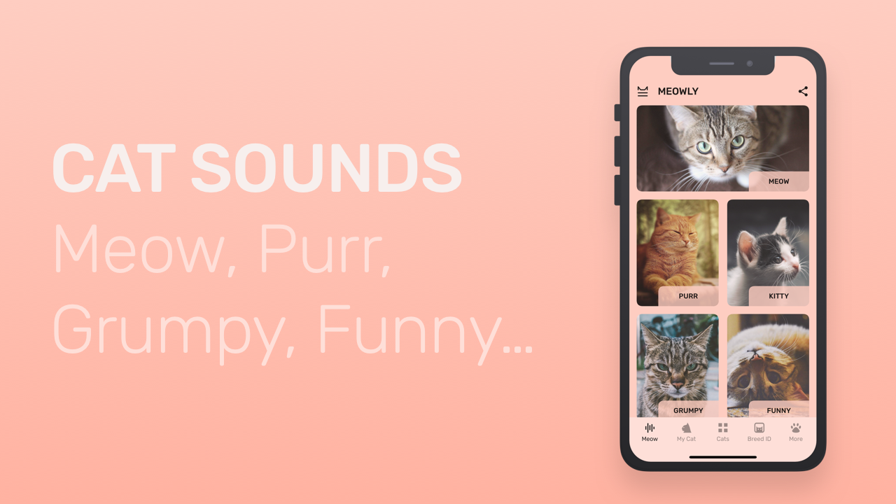 Meowly gallery image