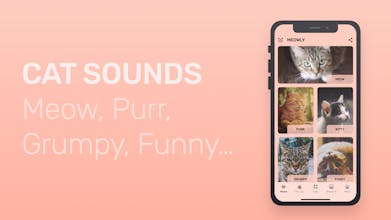 Meowly gallery image