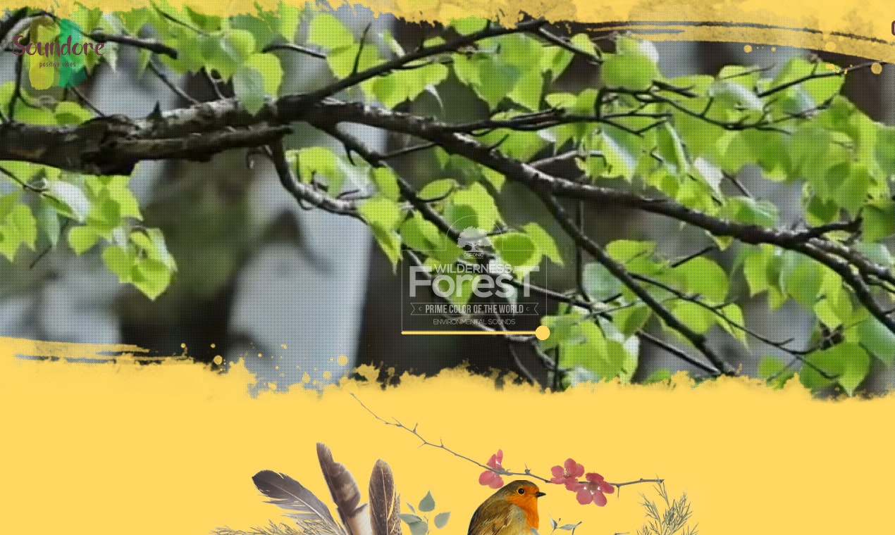 Audioscape gallery image