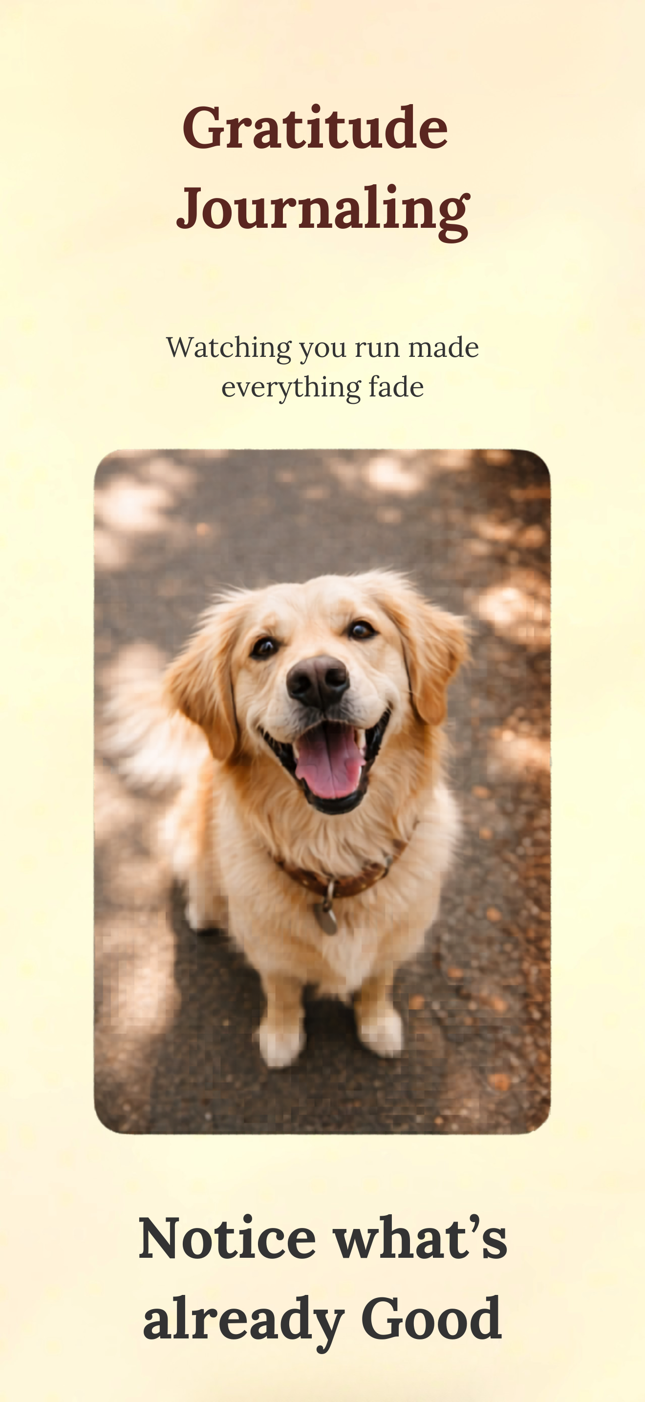 Practice Of Happiness gallery image