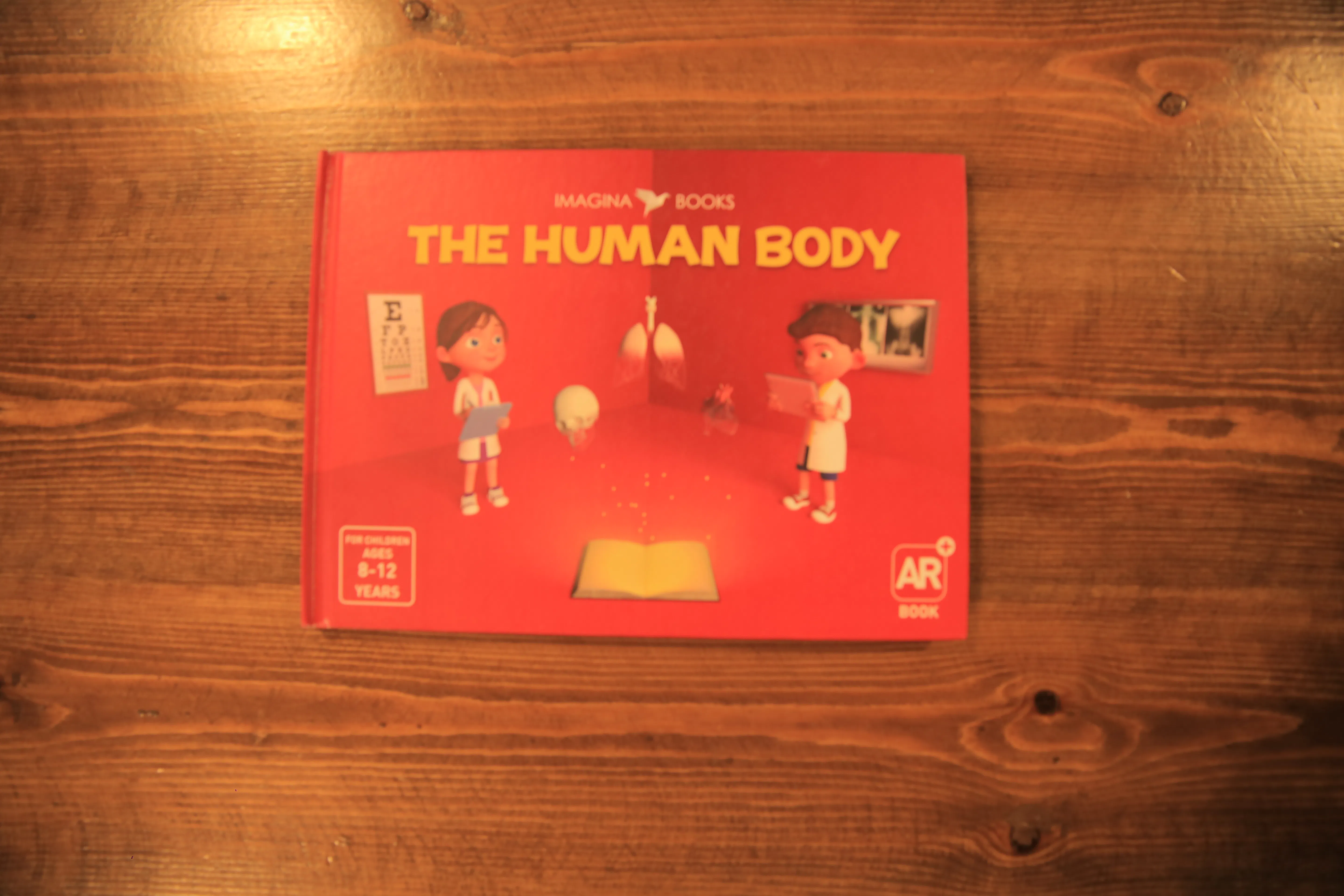 Imagina Books: The Human Body Image