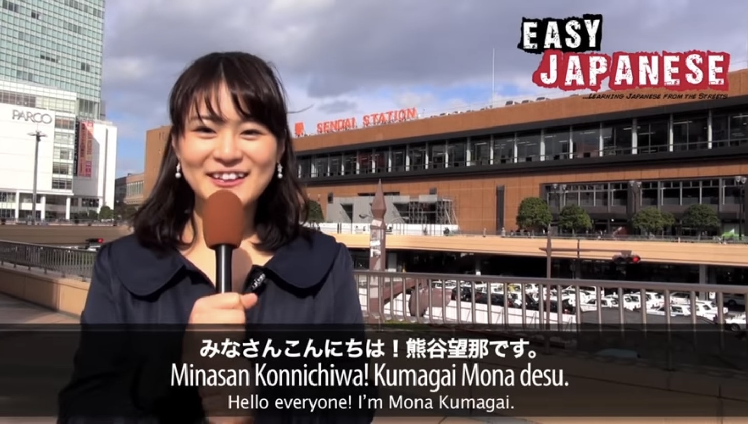 YouTube Scribe gallery image