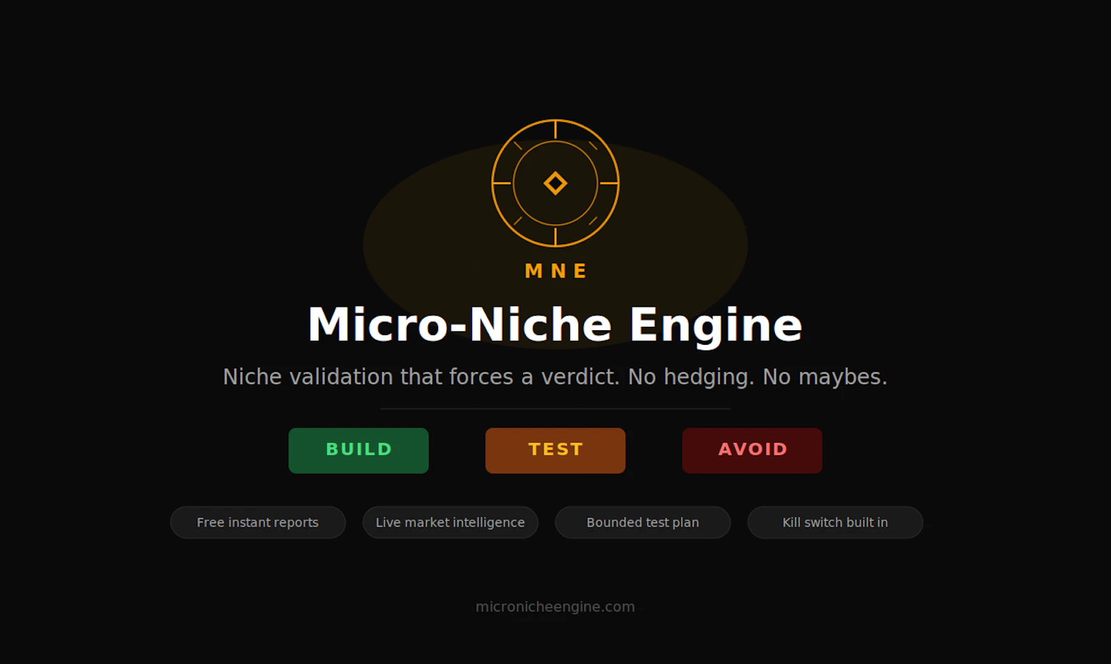 Micro-Niche Engine screenshot 3
